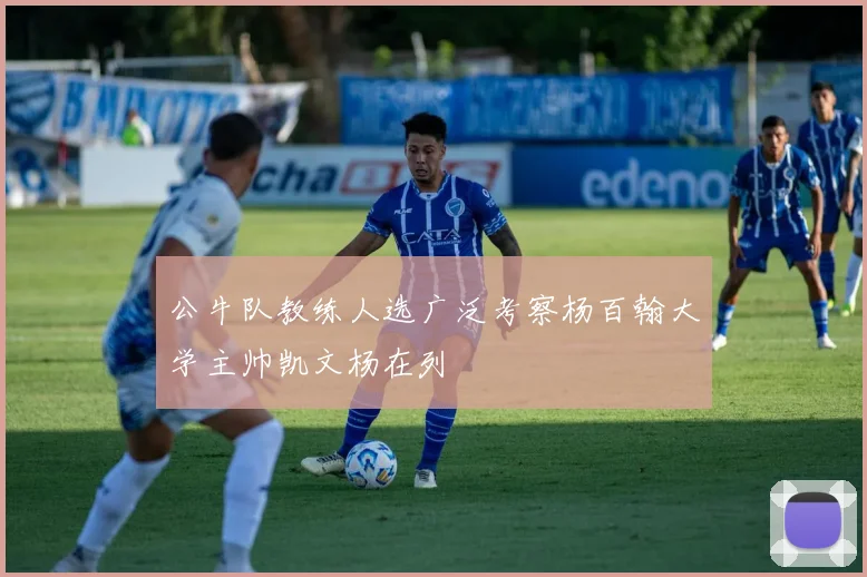 公牛队教练人选广泛考察杨百翰大学主帅凯文杨在列