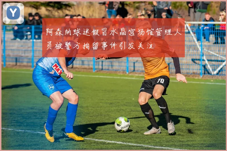 阿森纳球迷假冒水晶宫场馆管理人员被警方拘留事件引发关注